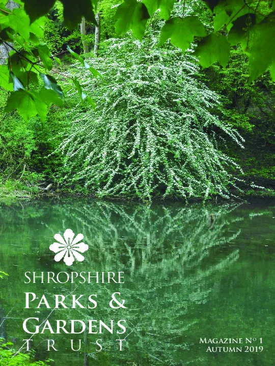 SPGT Magazine No. 1 &ndash; Autumn 2019