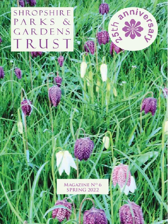 SPGT Magazine No. 6 &ndash; Spring 2022