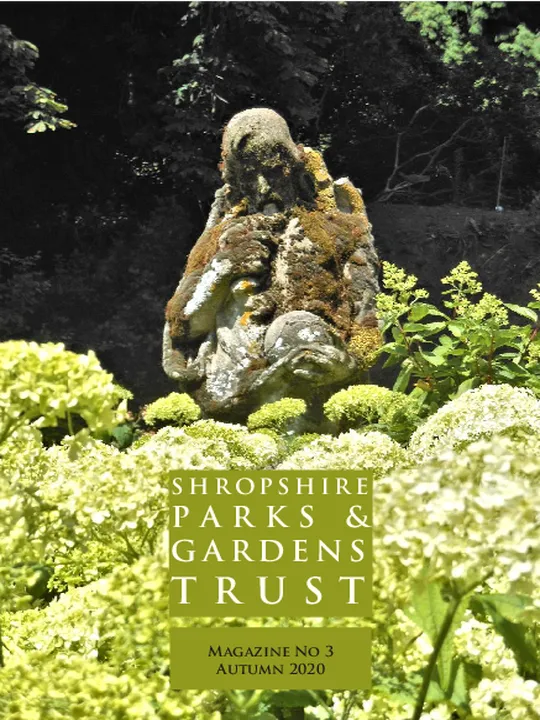 SPGT Magazine No. 3 – Autumn 2020